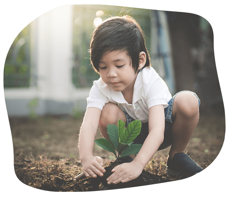 Boy Planting a Trees at the Garden — Our Philosophy in Ashmore, QLD