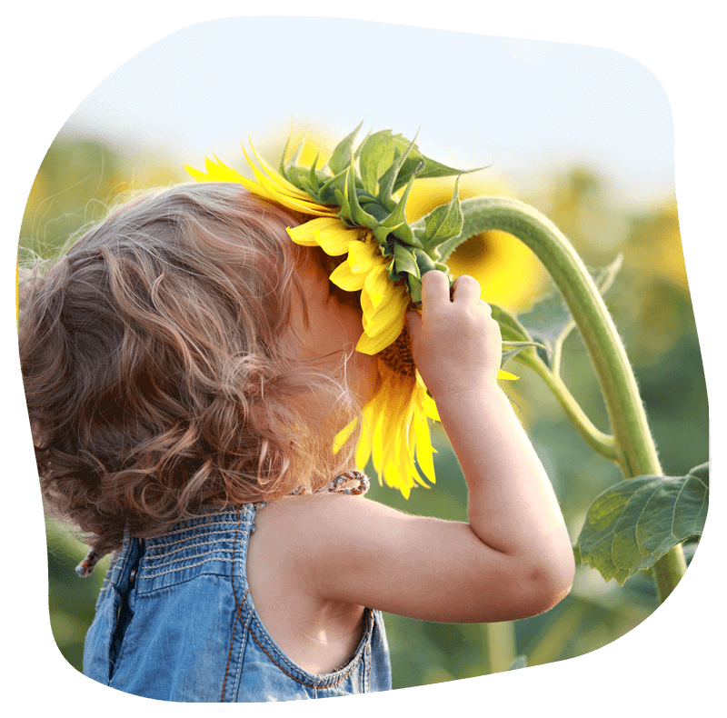 Little Girl Smelling a Sunflower — Our Philosophy in Ashmore, QLD
