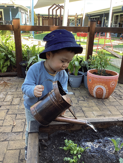 Little Boy Watering The Plants — Early Learning Centre Ashmore,QLD