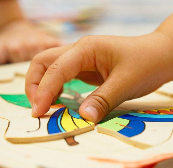 Child Assembling a Wooden Puzzle to Create a Butterfly — Early Learning Centre Maudsland,QLD